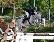 Maestri Beverly All GioCav2013 S5 1174 : Beverly All, Campionati Italiani Giovani Cavalli, Cattolica, Maestri Samuele, ph Stefano Secchi ©